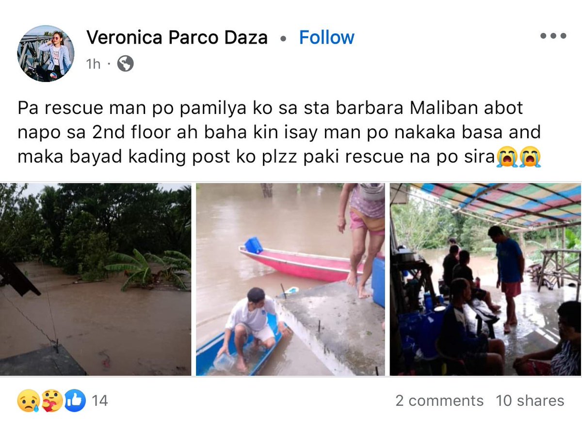 franz 🪷 tweet media