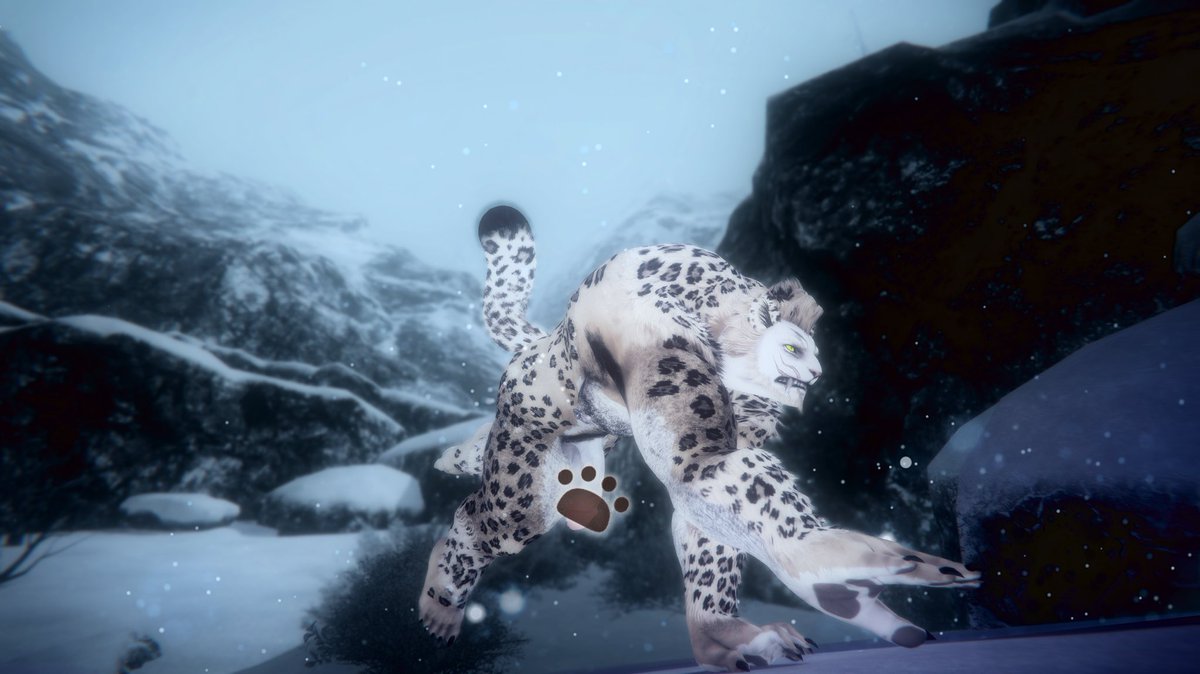 Happy International Snow Leopard Day! ❄️🐆(Consider donating to a wildlife charity if you have funds!)

#himbo #snep #GPOSER #Hrothgar #InternationalSnowLeopardDay