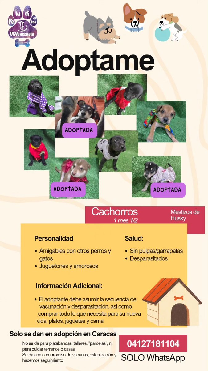 No se donde están los millones de adoptantes para los perros. Pero ojalá aparezcan para adoptar a estos 5 cachorros qué quedan 🥺