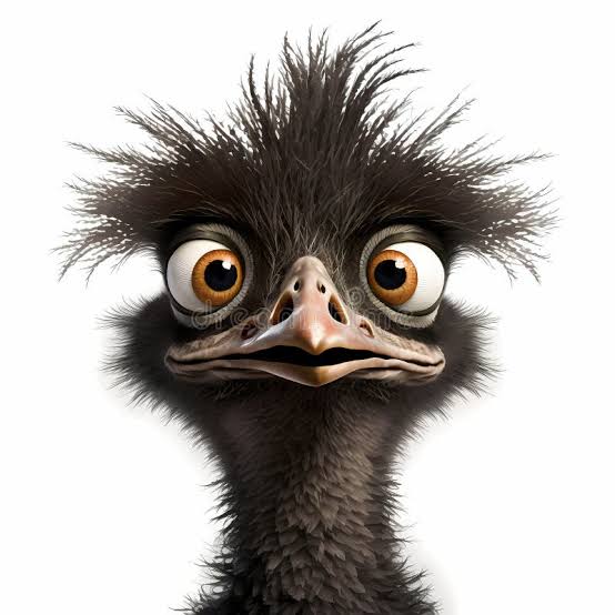 DaveEmu's tweet image. Come get some $DAVE 
Dave has survived the Emus war and has decided to make a home on #STX. 

stx.city/bonding-curve/…

#BITCOIN #stxcity #memecoin #memecoins #MemeRevolution #Dave
