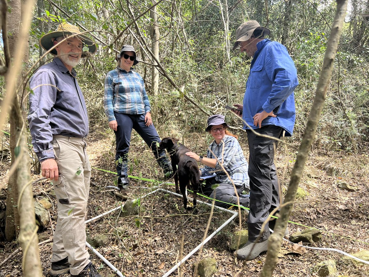 Christina Birnbaum PhD🍃 tweet media