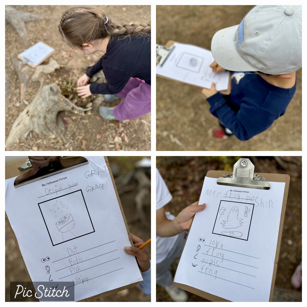 Mrs. Ryan (@msryan6) on Twitter photo This afternoon we went outside and used our creativity skills to make our own nature potions! Ask your child what kind of potion they decided to make. <a href="/mrgrisongrade1/">Jeremy Grison</a> <a href="/StIsabelOCSB/">St. Isabel Catholic Elementary School</a> 🍂🍁 This afternoon we went outside and used our creativity skills to make our own nature potions! Ask your child what kind of potion they decided to make. <a href="/mrgrisongrade1/">Jeremy Grison</a> <a href="/StIsabelOCSB/">St. Isabel Catholic Elementary School</a> 🍂🍁
