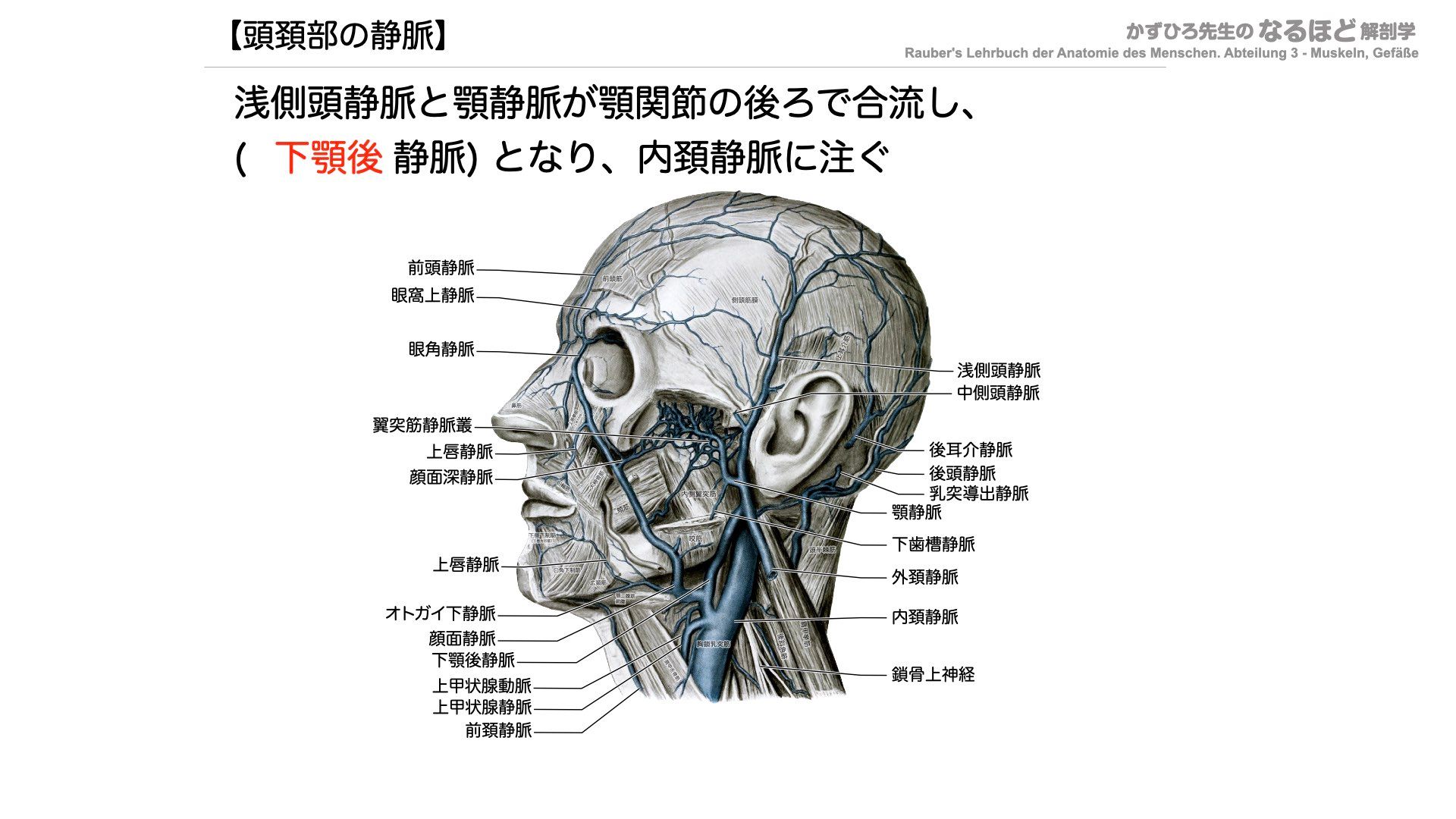 黒澤一弘(かずひろ)解剖学IT教育・指圧師・ラダック على X 黒澤一弘(かずひろ)解剖学IT教育・指圧師・ラダック على X