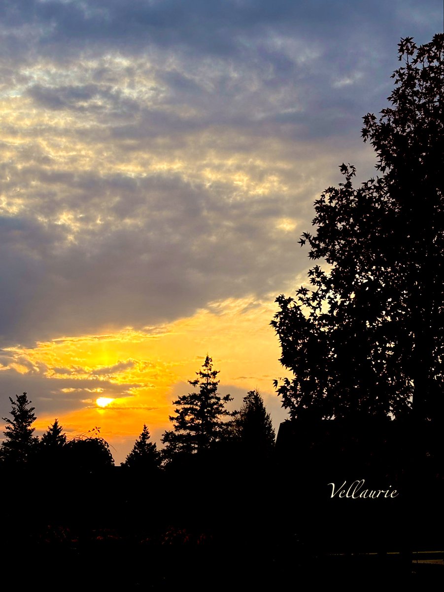 VijayEllaurie's tweet photo. Wishing you a Good Evening🕊️ May this beautiful sunset colour your dreams! #tonights sunset https://t.co/z6yXzA7R3K