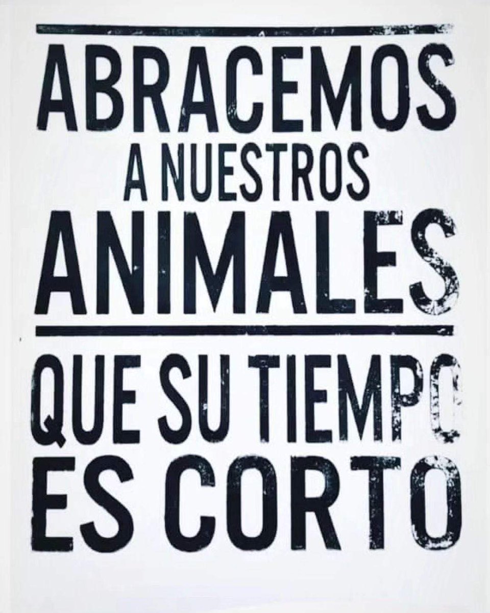 Sabueson (@sabueson) on Twitter photo 