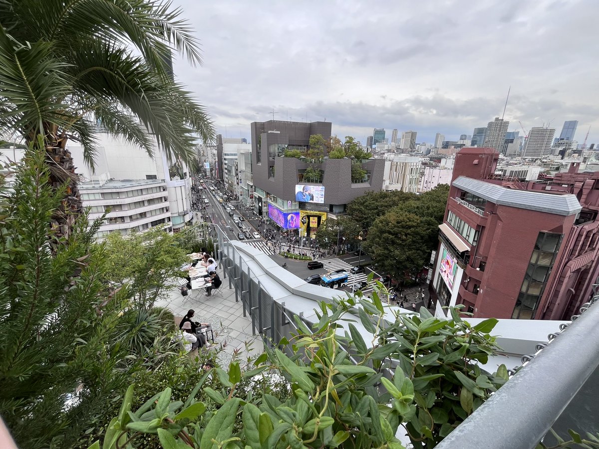 HSP49498531's tweet photo. ある日の現場見学

場所は原宿

日本なのに日本じゃない
原宿だけじゃない
都心部はどこも外国人だらけ💦 https://t.co/s3IiiznzWQ