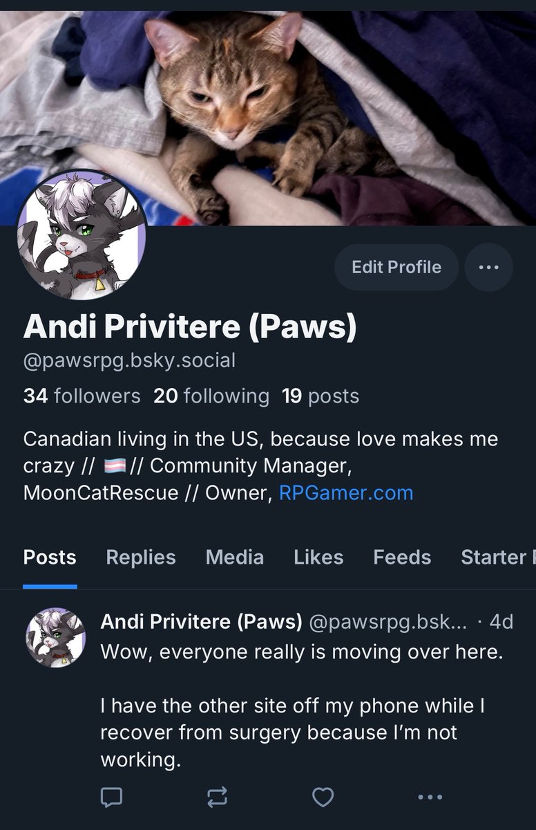 Andi Privitere (@pawsrpg) on Twitter photo  Andi Privitere (@pawsrpg) on Twitter photo