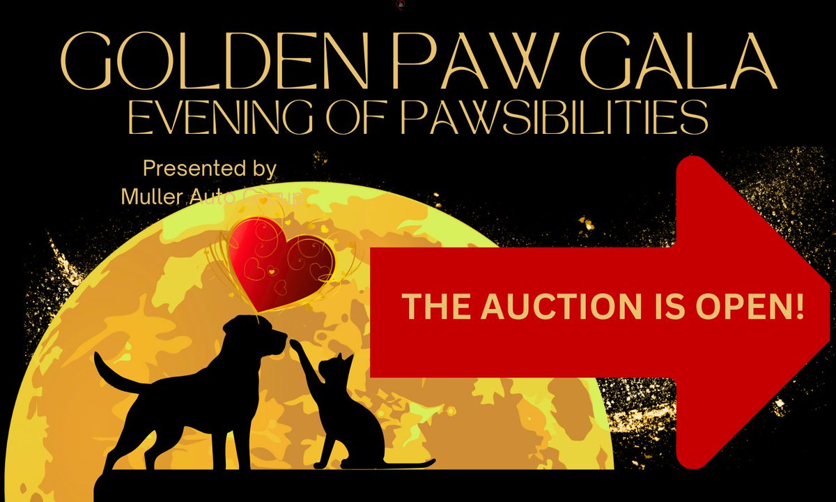 The Golden Paw Gala Auction is open! We have an alligator research trip available! Get bidding &gt;
heartlandanimalshelter.org/heartland-gold…