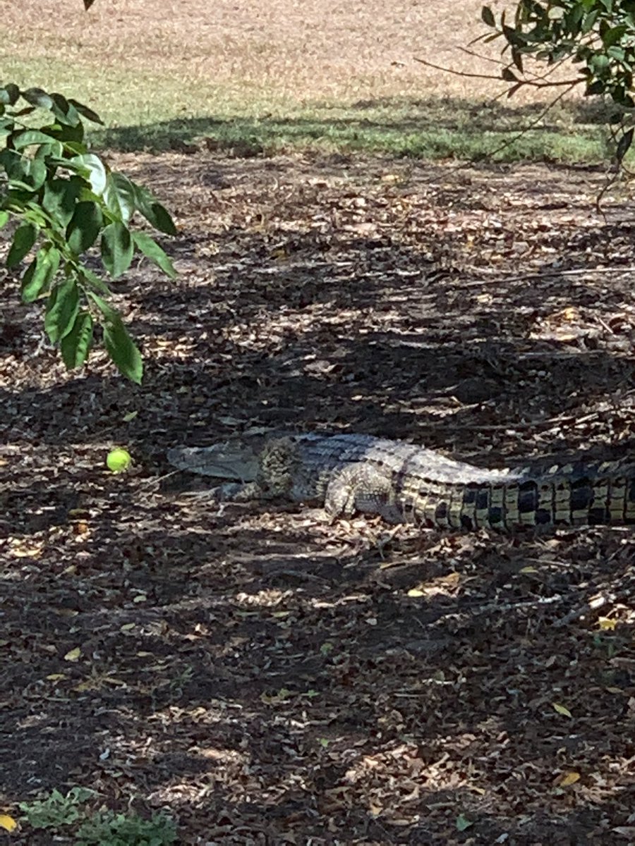 Duncan Forrest tweet media