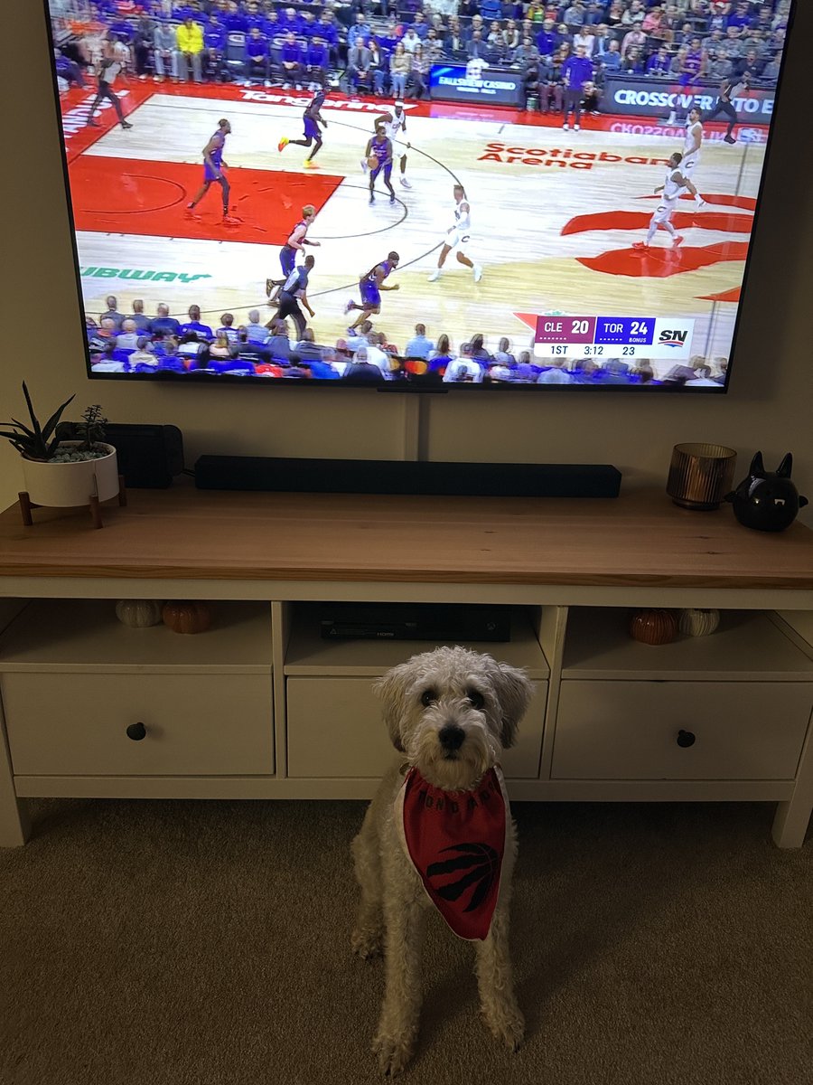 alexpedersen7's tweet photo. @TangerineHoops #tangerinefanangle https://t.co/xBzweo65W5