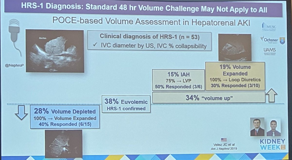 lluncornefro's tweet image. LRA en Falla Hepática x @VelezNephHepato 
✔️Actualización para Dx SHR
✔️Evaluar volumen⏩️Utilidad del Pocus🎥
✔️🚫albúmina para todos
✔️NE/Terlip⏫️ PAM 15mmhg
✔️Sí diuréticos/ PGV
✔️Recomendación para uso de citrato⛑️ en TRRC
#KidneyWK #EarlyProgram #CriticalCareNephrology