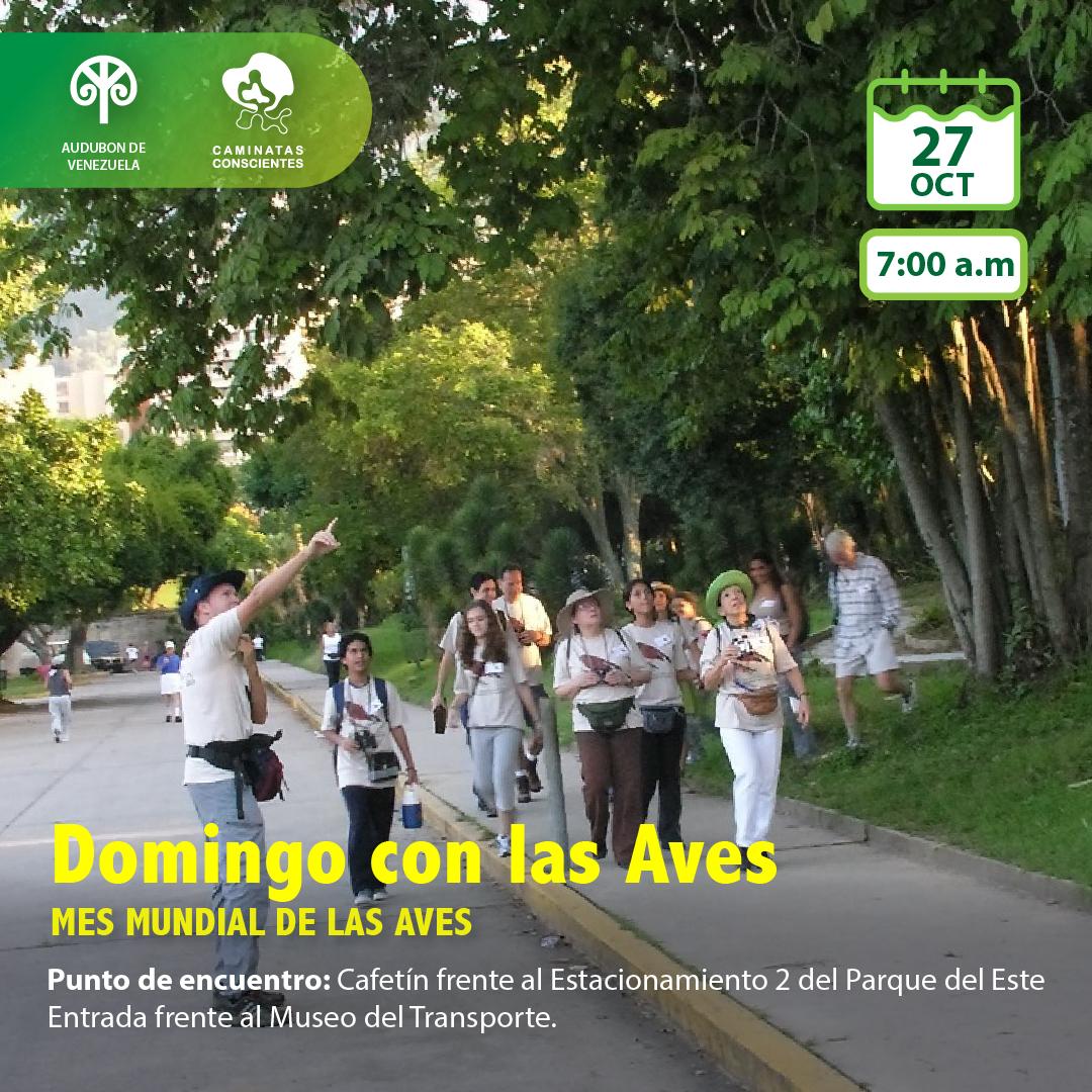 #DomingoconlasAves, este #27Oct en el #ParquedelEste para celebrar el mes de las aves. Las especies de Caracas estarán al alcance de nuestra observación. Es gratuito, nos vemos a las 7.00 am. Regístrate en forms.gle/c4FUq9unhupuJr…