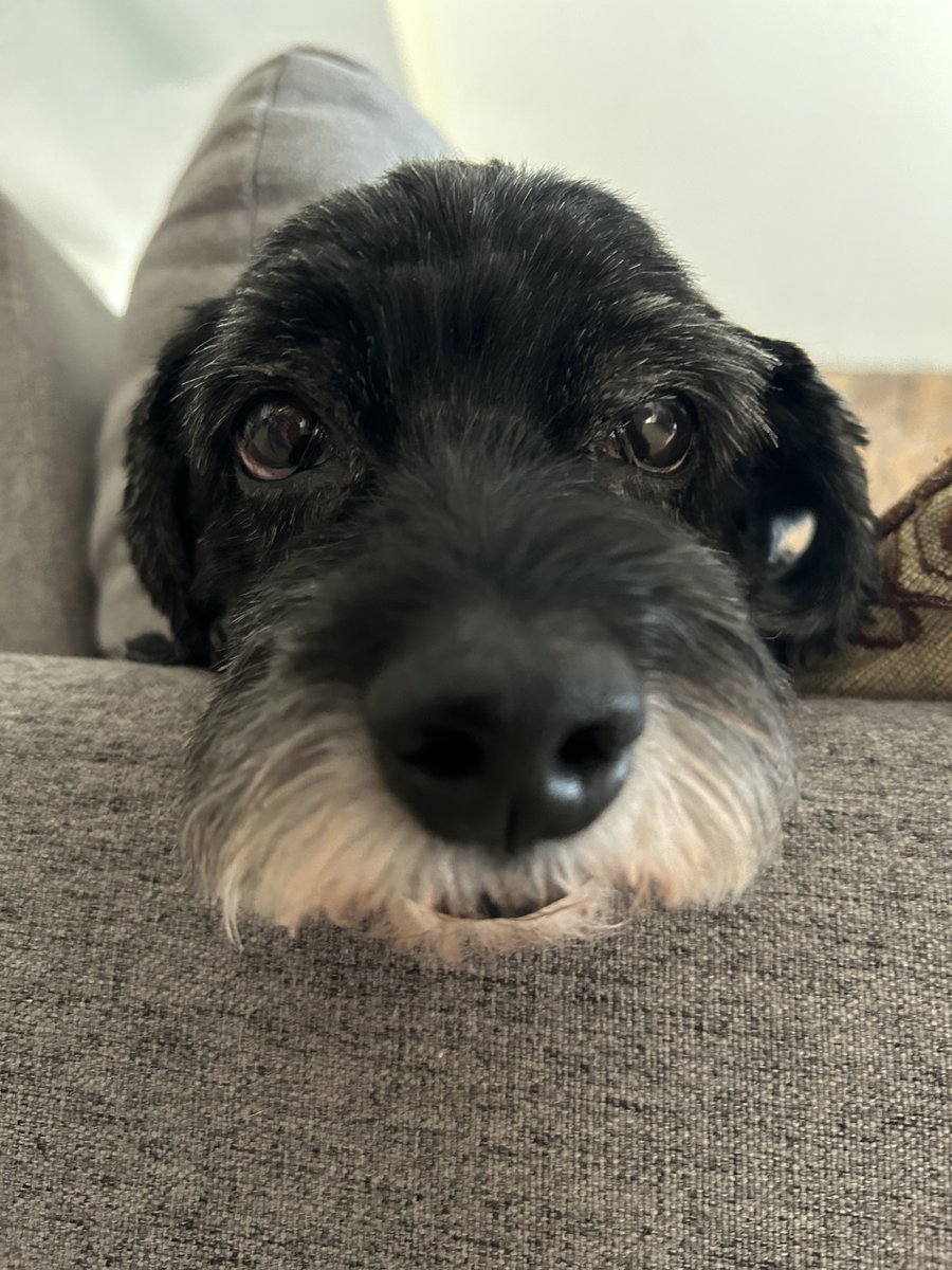 NW Editors Guild (Find us on other socials) tweet media