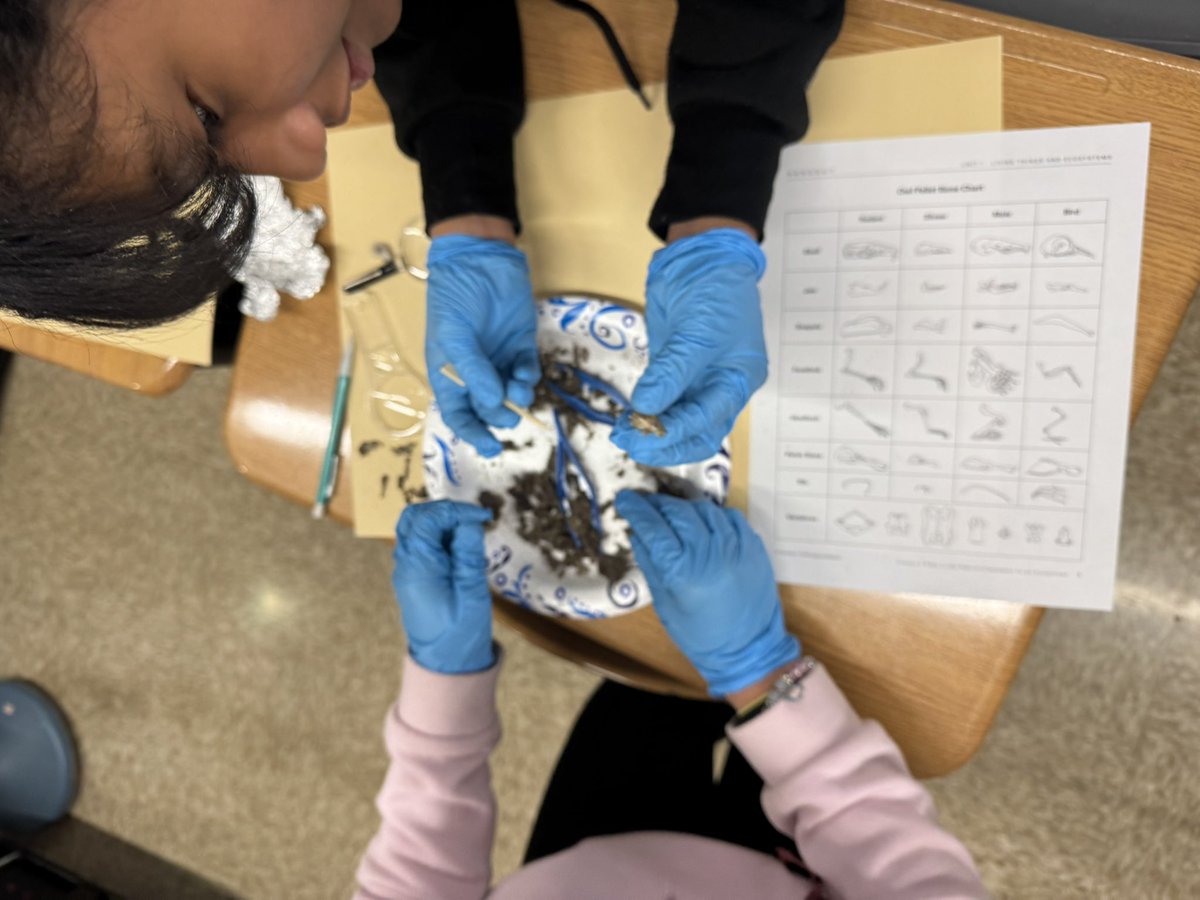 KueflerWood5 tweet media