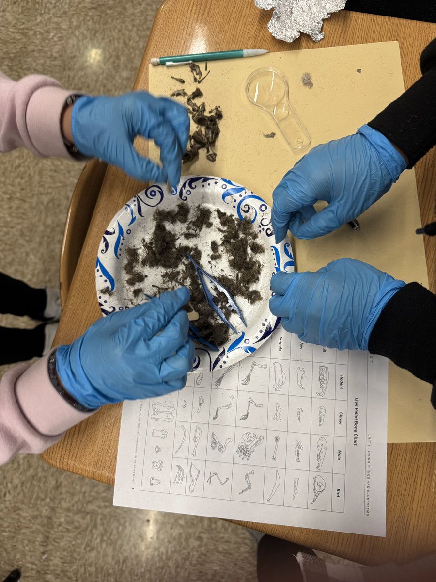 KueflerWood5 tweet media