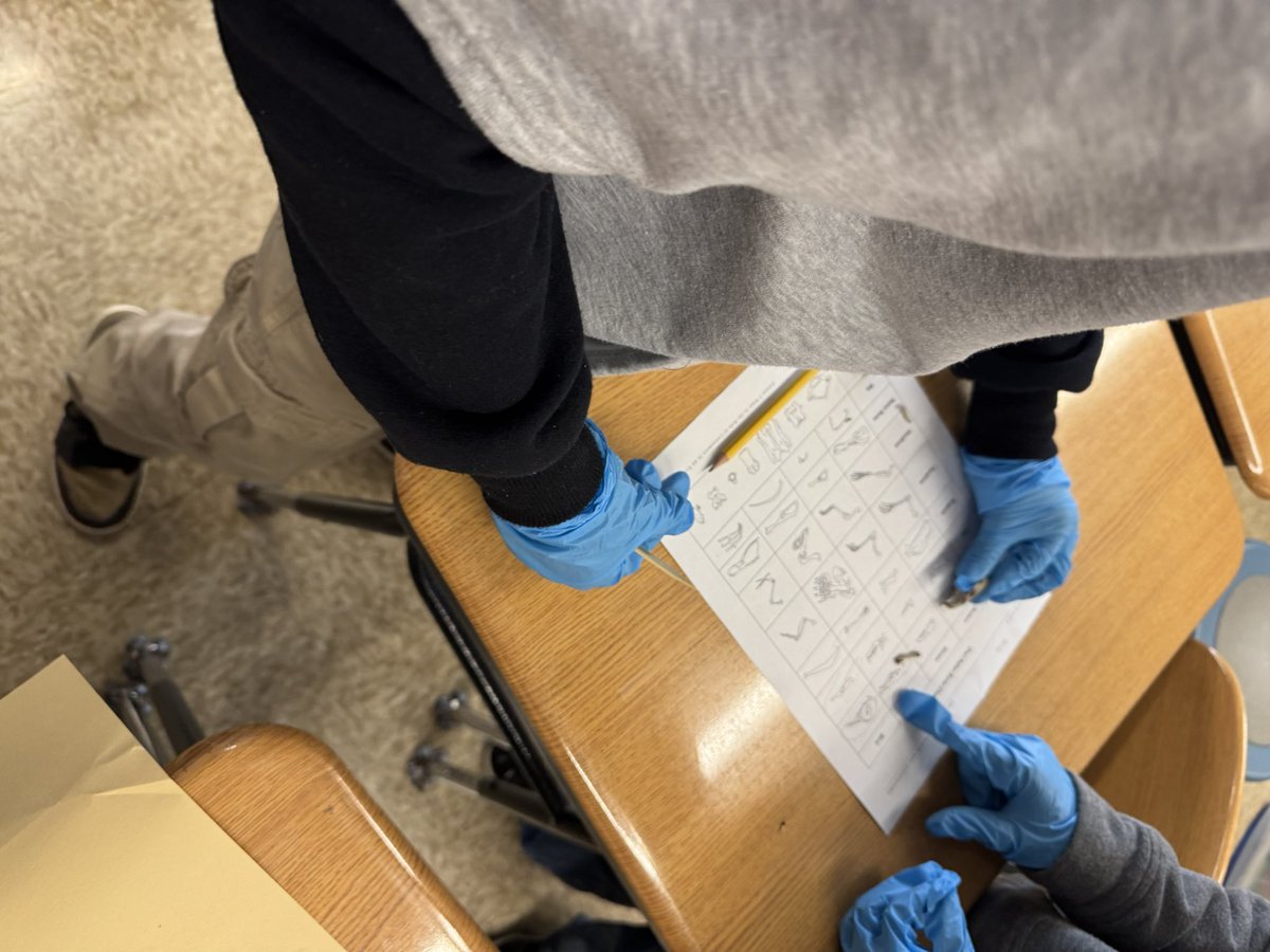 KueflerWood5 tweet media