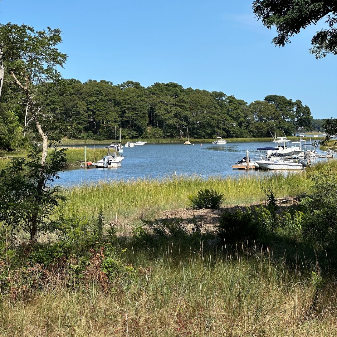 PhilbrookCC's tweet image. A wall of floor-to-ceiling windows maximizes the view of the water from a lower-level bedroom.
#BuiltByPhilbrook in collaboration with A3 Architects, inc, Andersen Windows + Doors, Shepley Wood Products #CapeCodHome #CapeCodBuilder #WaterfrontHome 📷 Grattan Imaging  (#1)