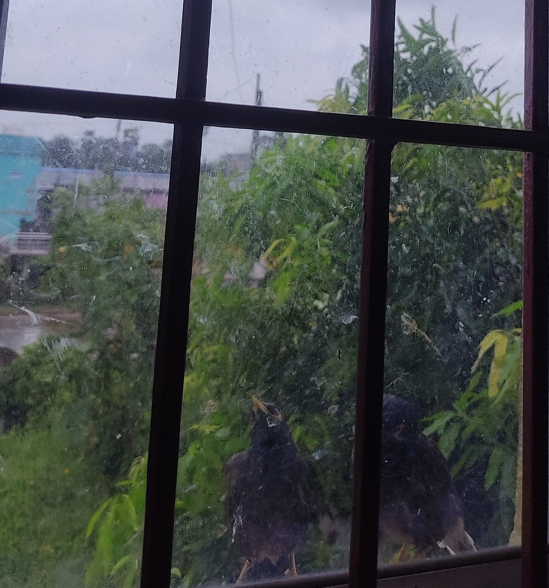 ।। Sttalin Daas || ମଣ୍ଟୁ tweet media