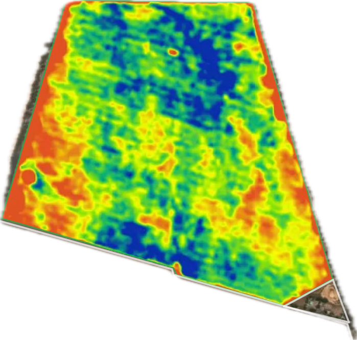Brendan Williams tweet media