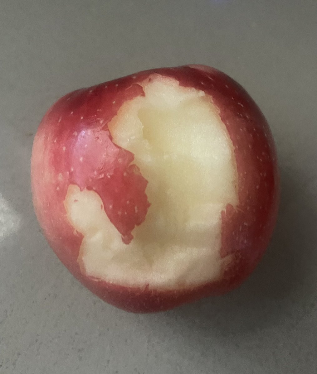 paper☆doll tweet media