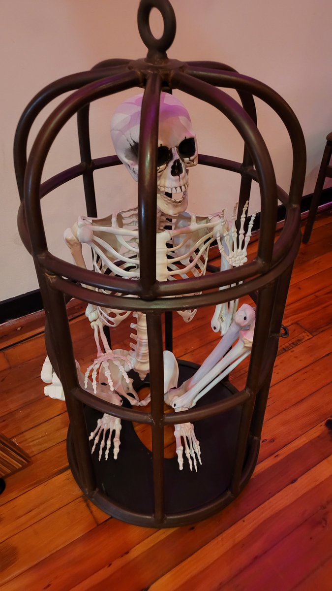 Danarama (18+) tweet media