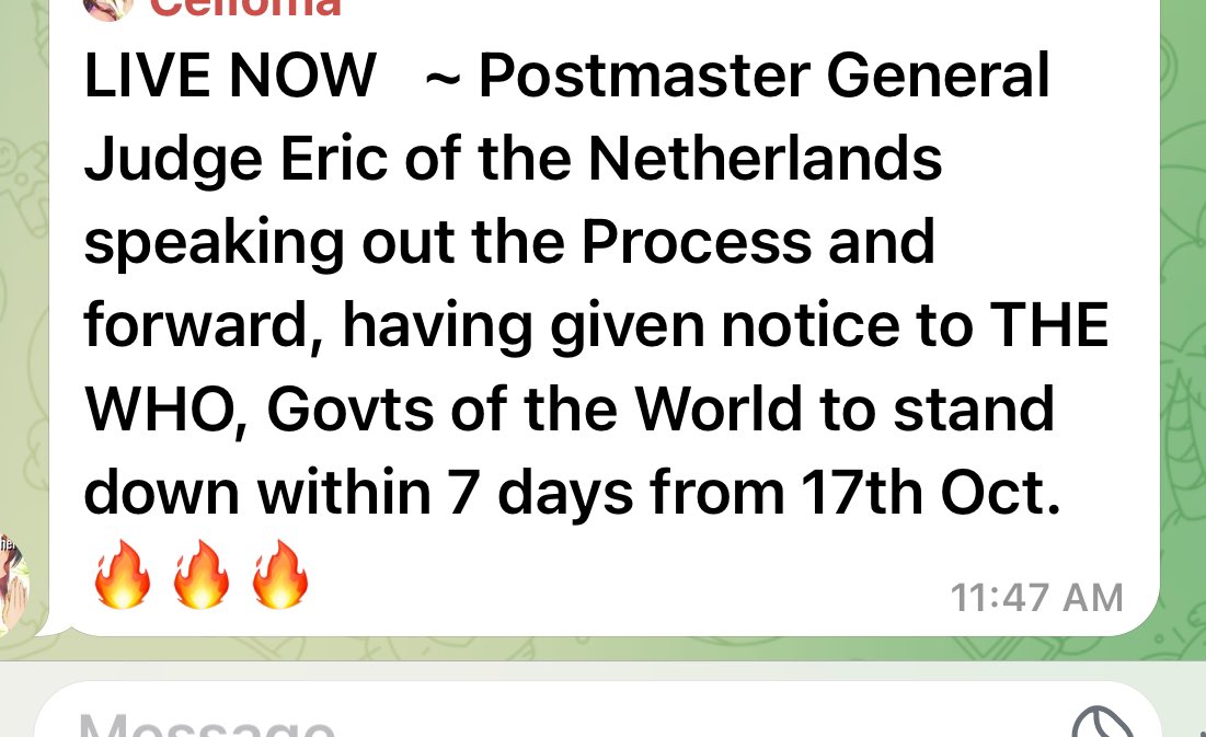 argosaki's tweet photo. Fam … DO YOU ALL KNOW HOW IMPORTANT THE ROLE OF POSTMASTER GENERAL IS TO WORLD POLITICS ⁉️⁉️⁉️👇👇👇‼️‼️‼️💥💥💥‼️‼️‼️💥💥💥& this notification was issued on OCTOBER 17 2024 : STAND DOWN TIME IS ALMOST HERE 👇💥‼️👇💥‼️ This is international law of the highest jurisdiction and must be heeded everywhere
- Postmaster General Judge of the world, Eric

All countries. 

All jurisdictions must obey this law - Eric