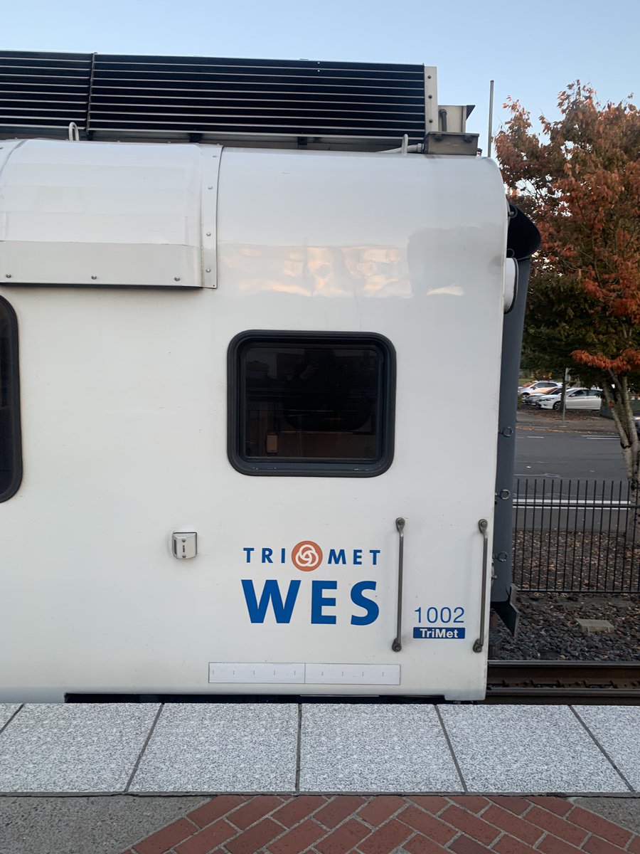 willow! 🍃 tweet media