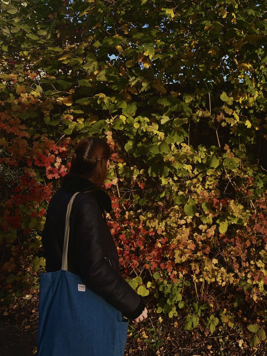 mal_functional_'s tweet image. Feel like the Gilmore Girl