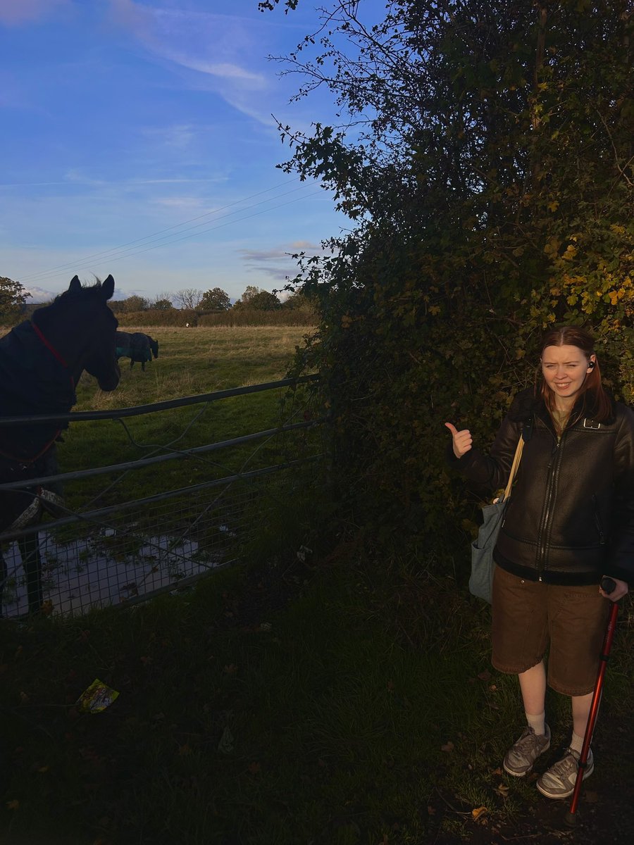 mal_functional_'s tweet image. Feel like the Gilmore Girl