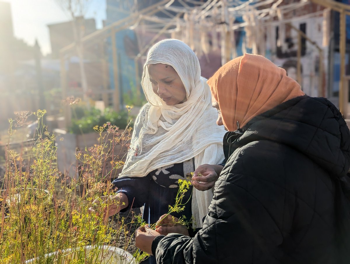 Change Stories tweet media