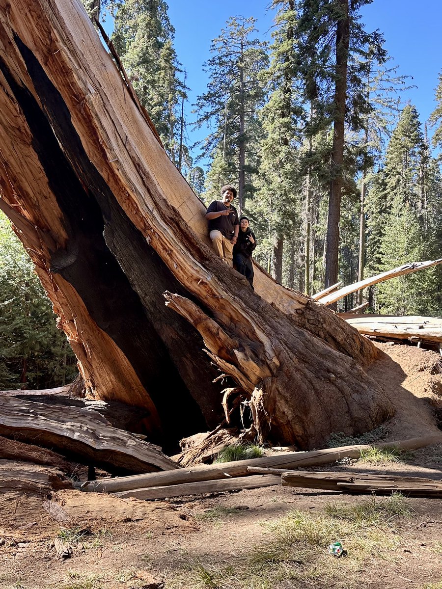 A great day this week for Lindsay Community Day learners at <a href="/SequoiaKingsNPS/">Sequoia & Kings Cyn</a> for their focus on science with Ms. Jimenez.  #alted <a href="/LindsayUnified/">Lindsay Unified School District</a>