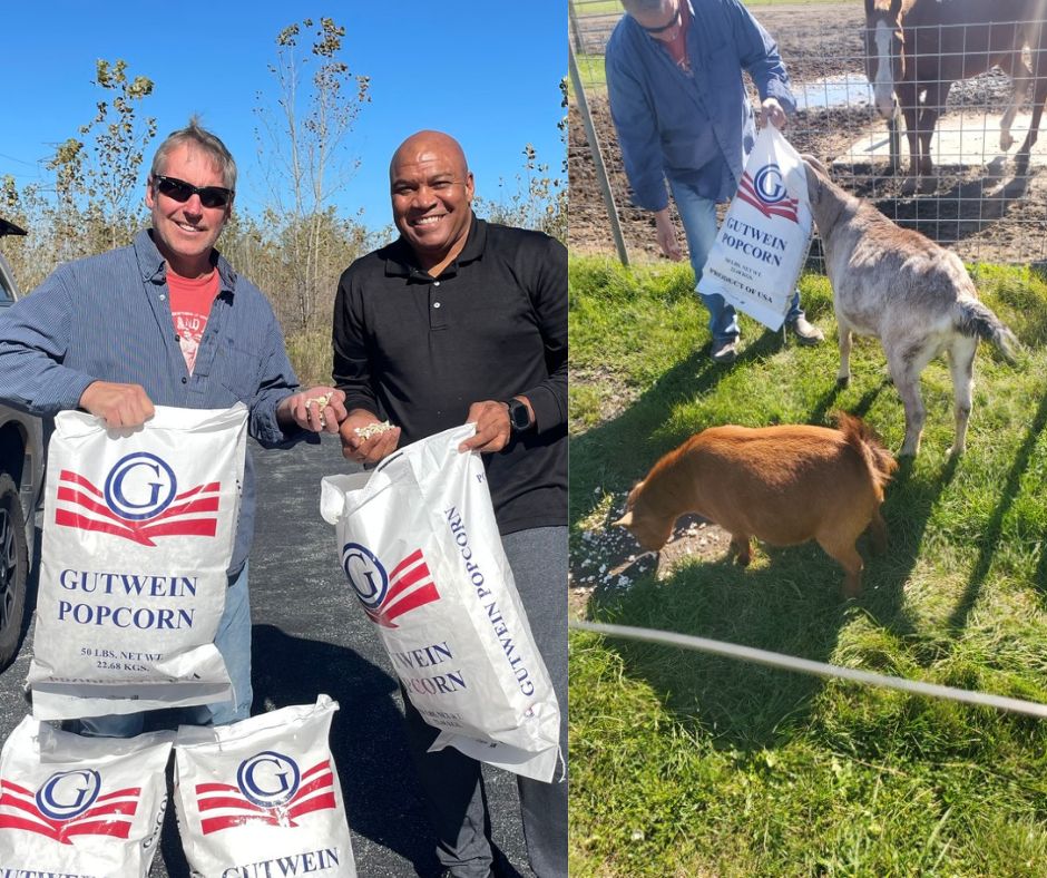 clandpopcorn's tweet photo. Frequent Popers Club alert! Our broken and unpopped premium popcorn kernels are feeding farm animals! Shout out to our nearly 61k+ club members, not including the chickens and the goats; Nothing goes to waste. #NoWaste #AnimalFriendly #61kClubMembers https://t.co/9OAFw6L7VC