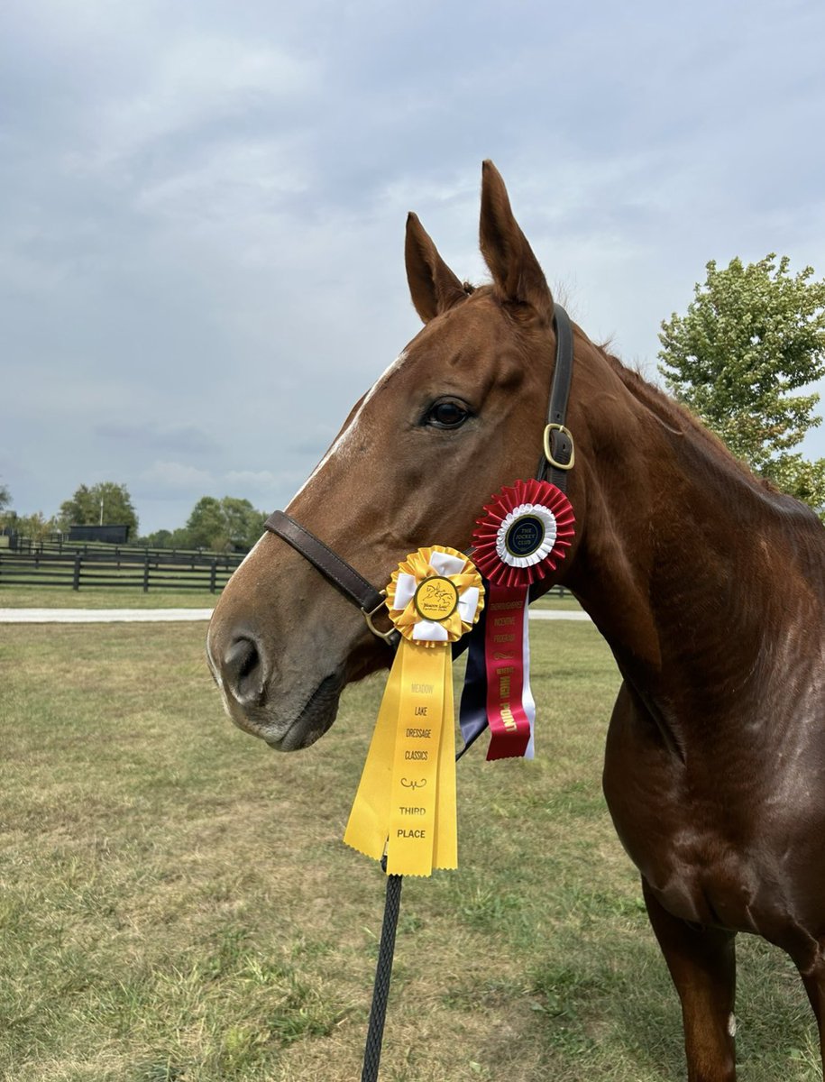 Jaime Roth tweet media