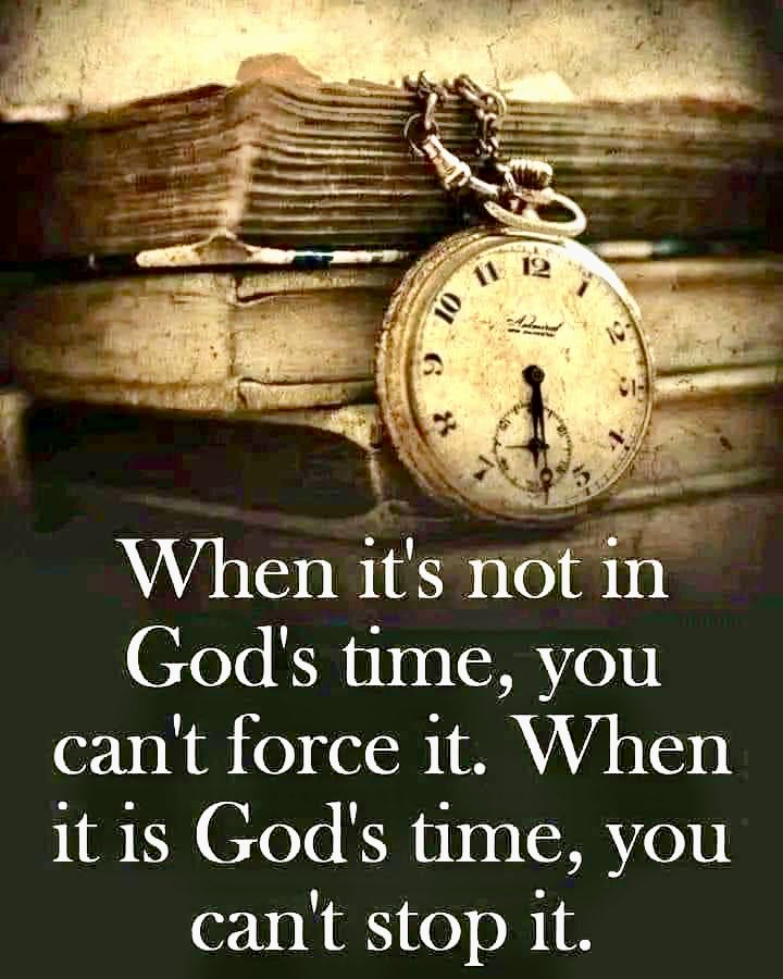 Teresa42254207's tweet photo. The Best Times are Yet to Come, https://t.co/nenrGLqGBb