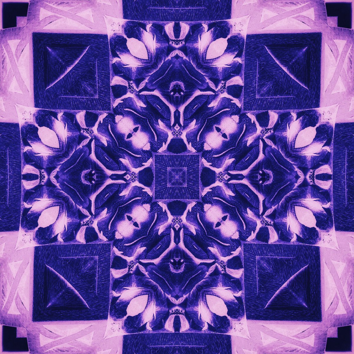 Brother12 tweet media