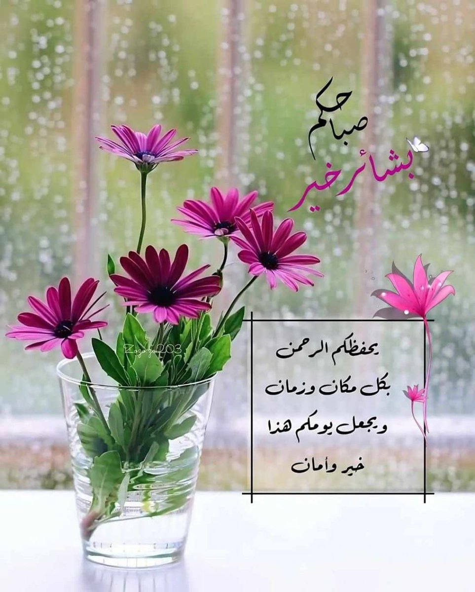 توكلنا على ذي العزة والجبروت، اللهم اكفنا بركنك الذي لا يرام، واحفظنا بعينك التي لا تنام #صباح_الخير 🦋