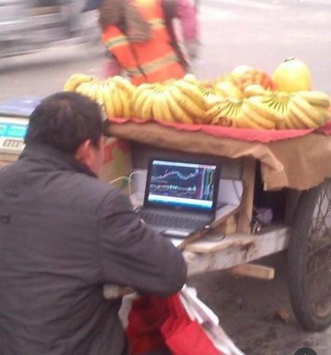 Loie 🌱 tweet media