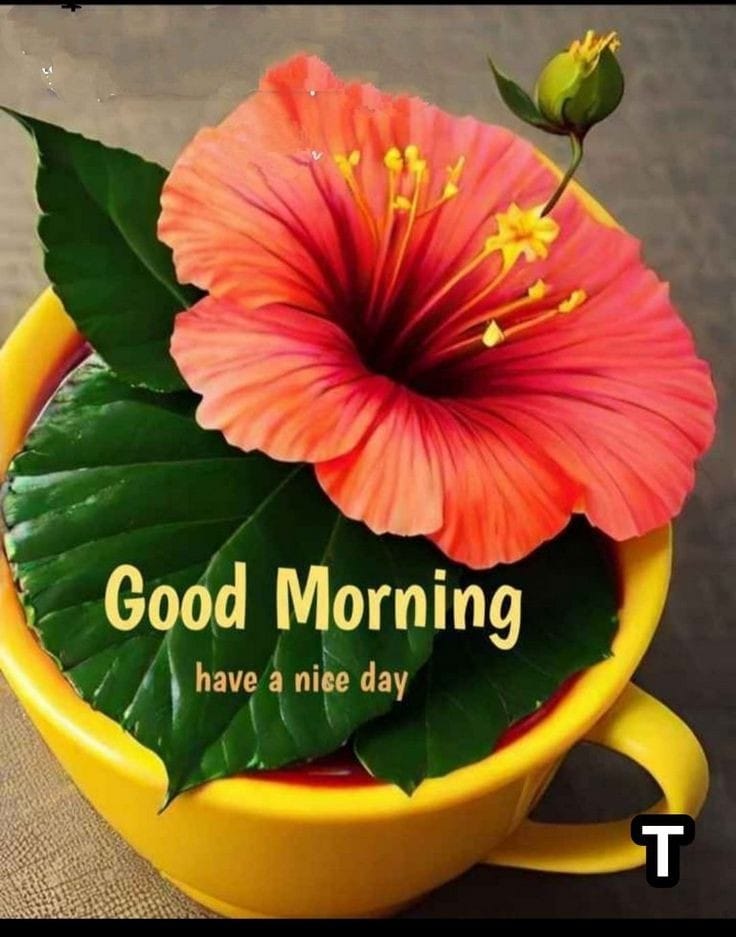 सुबह की राम राम जी 🙏सभी दोस्तों को 😇🤗#trendin #MorningVibe #puresmile😉 <a href="/Shailen38465068/">Shailendra</a>  
#follobackforfolloback