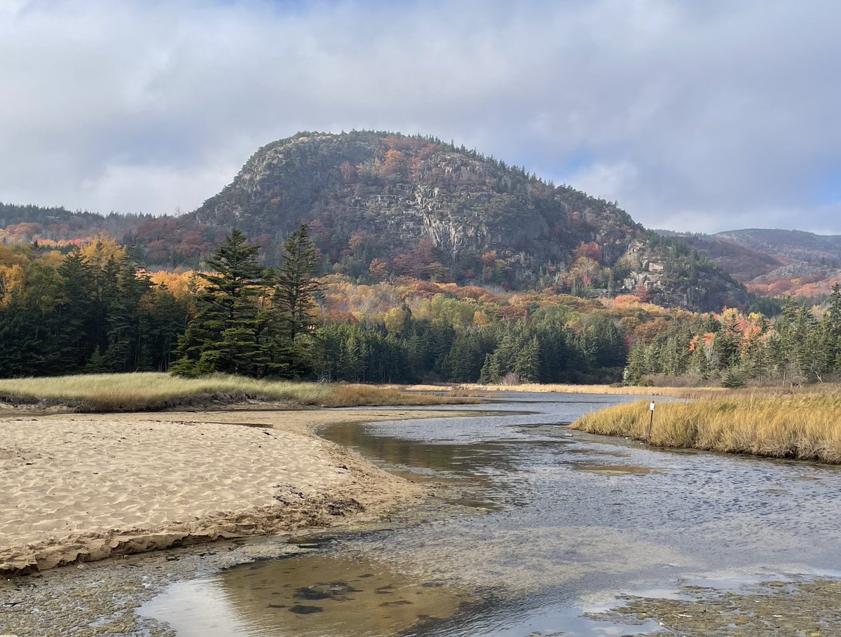 TommyVierbuchen's tweet image. Exciting science and amazing scenery at @jacksonlab Diversity in a Dish meeting this week.