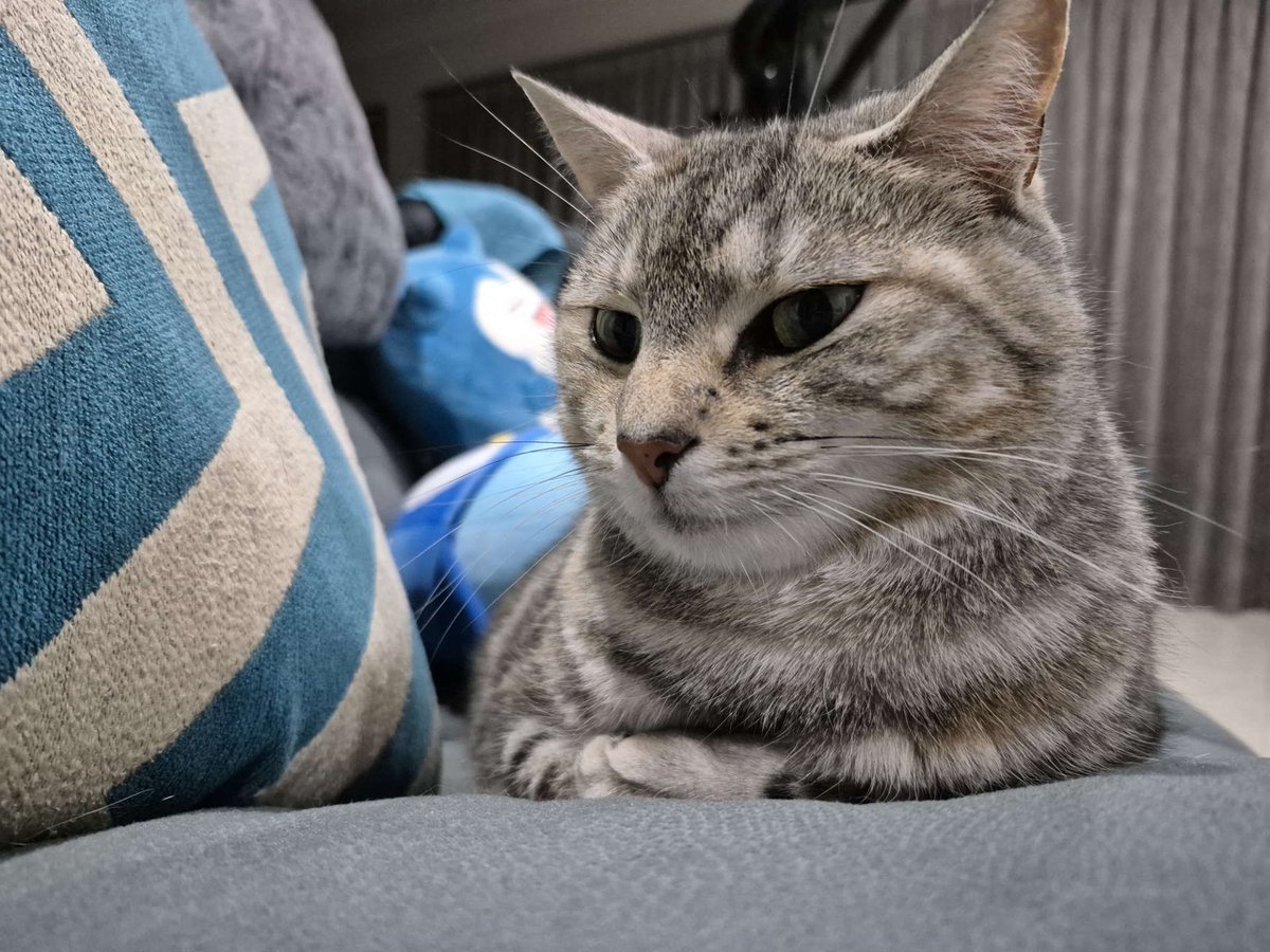 Chris Button tweet media