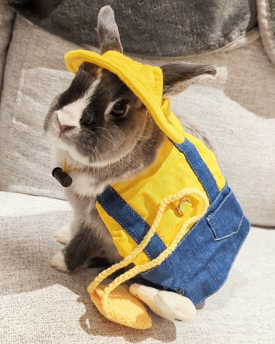 This is what you're missing on the other app, I'm just saying.