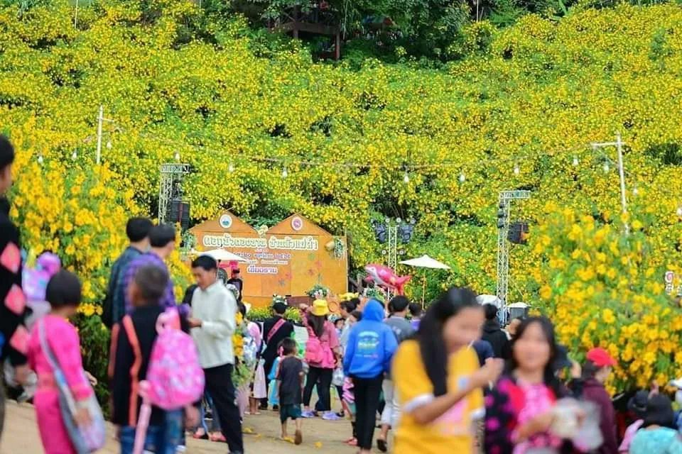 Chiangrai108's tweet photo. ขอเชิญชวนเที่ยวงาน���ทศกาลดอกบัวตองบานที่บ้านหัวแม่คำ 2567 ครั้งที่ 32 กำหนดการจัดงานวันที่ 16 -17 พฤศจิกายน 2567
รายละเอียดเพิ่มเติม https://t.co/DZF2LIOSVZ https://t.co/blH0uapZOw