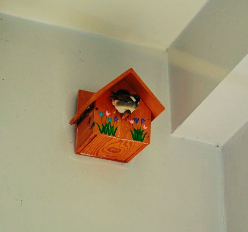 DumbOrator tweet media