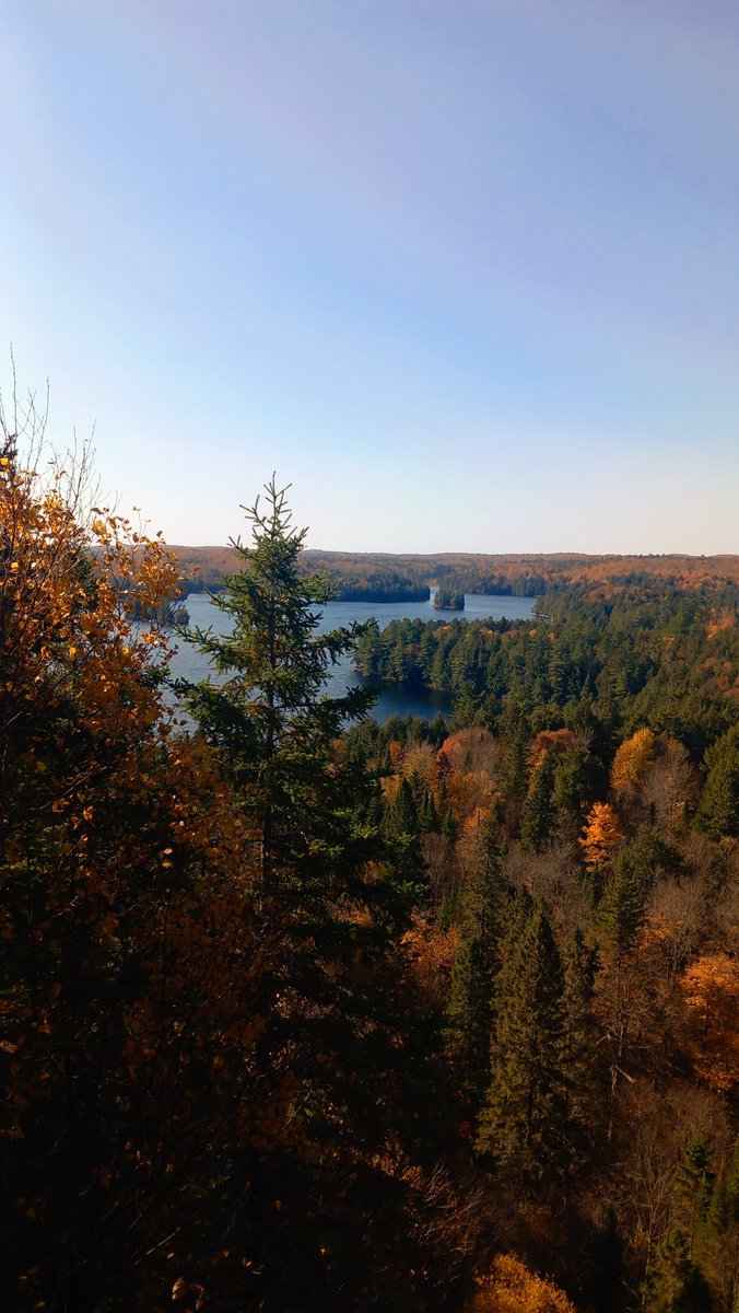 Laura 💀 tweet media