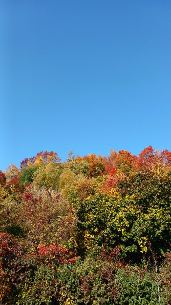 Laura 💀 tweet media