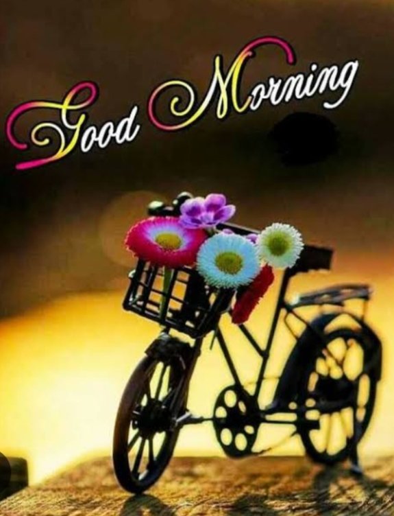 #GoodmorningtTwitterWorld ❤🌹