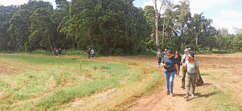 Hervé Sanguin tweet media