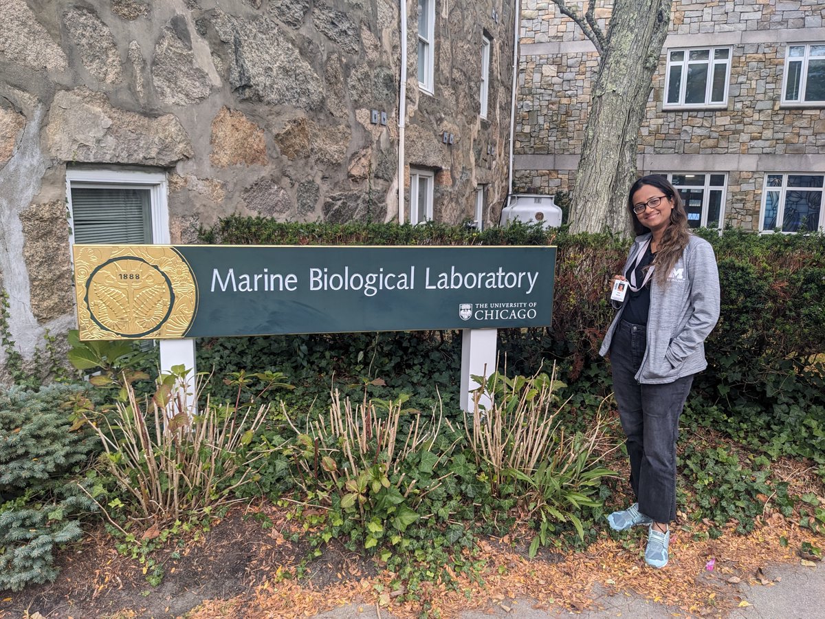 Isha Verma, Ph.D. (@ivy_hederahelix) on Twitter photo Had an incredible time attending the 'Gene Regulatory Networks for Development' advanced research training course at the <a href="/MBLScience/">Marine Biological Laboratory (MBL)</a> at Woods Hole, MA. Learned a lot about gene regulatory networks in multiple model organisms. Had an incredible time attending the 'Gene Regulatory Networks for Development' advanced research training course at the <a href="/MBLScience/">Marine Biological Laboratory (MBL)</a> at Woods Hole, MA. Learned a lot about gene regulatory networks in multiple model organisms.
