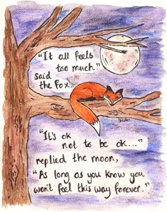 🍁 𝓣𝓱𝓮 𝓕𝓸𝔁 𝓛𝓲𝓯𝓮 🌾🦊 (@thefoxlife) on Twitter photo 