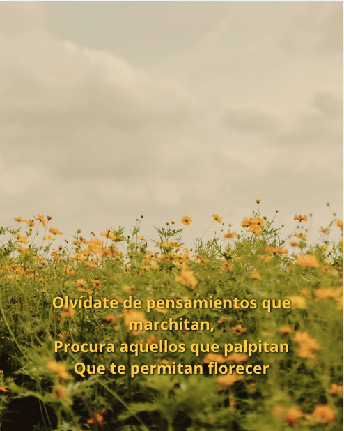 Caloncho tweet media